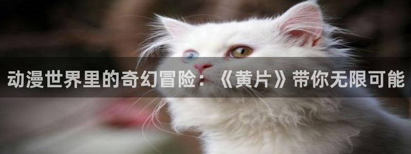 哈哩哈哩官网在线观看电视剧