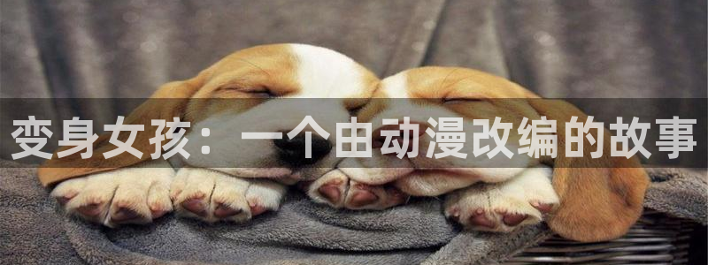 哈哩哈哩在线看网站