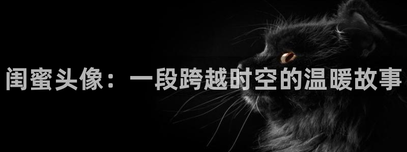 哈哩哈哩在线看哈哩哈哩