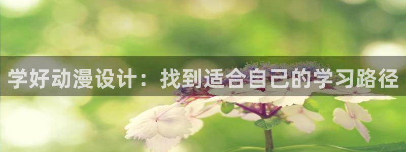 哈哩哈哩动漫网站官网：学好动漫设计：找到适合自己的学习路径