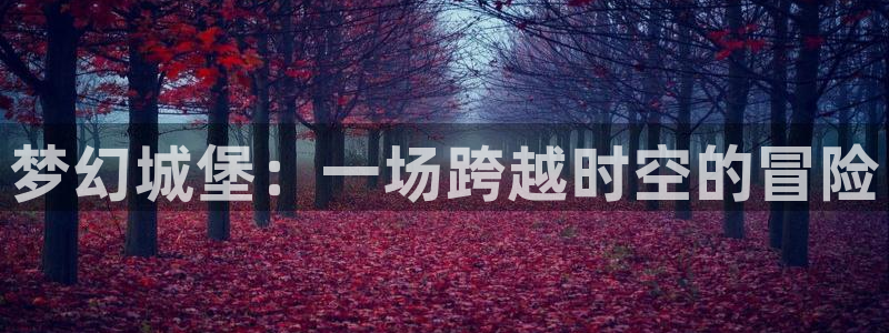 halihali哈哩哈哩动漫网站：梦幻城堡：一场跨越时空的冒险